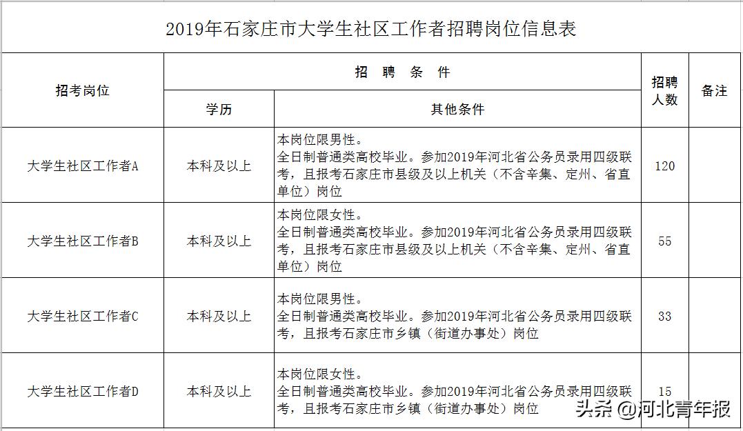 无极县招聘最新信息网，连接人才与机遇的桥梁，打造职业未来之路