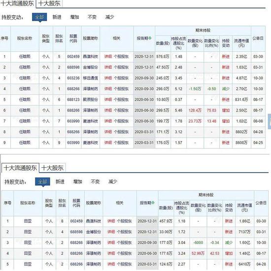 任向敏最新持股全景解析，深度探究投资策略与布局