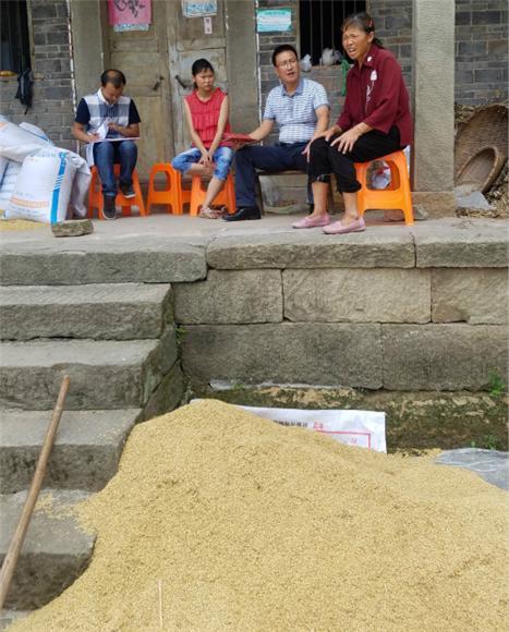 安胜镇未来繁荣蓝图，最新发展规划揭秘