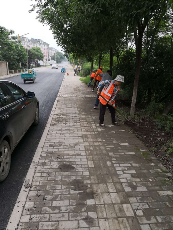 泉水街道最新动态，探索新闻前沿