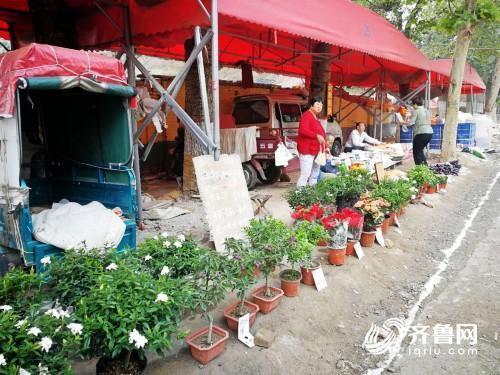 西园街道新项目重塑城市面貌，推动社区蓬勃发展