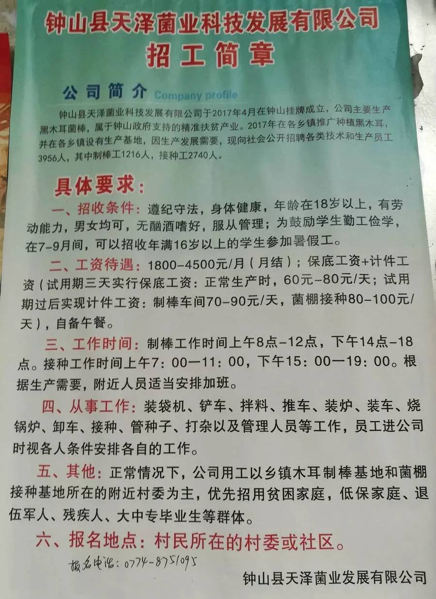 多伏村最新招聘信息全面解析