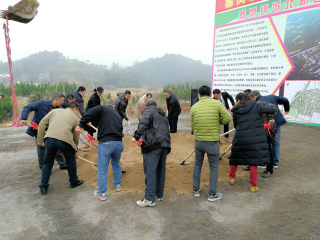 寨岗镇最新项目，地方发展的强大引擎驱动力