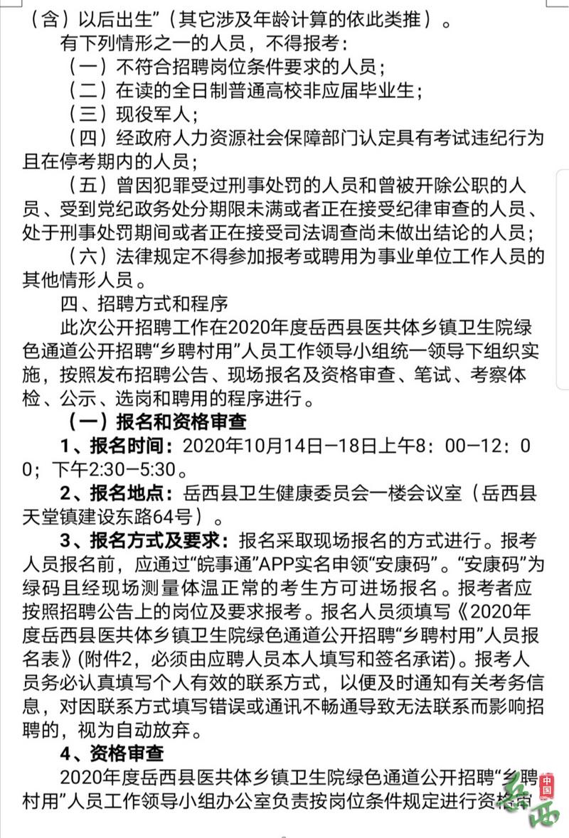 两当县卫生健康局招聘启事概览