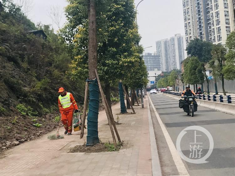 虎踞镇新面貌，繁荣与发展同步前行