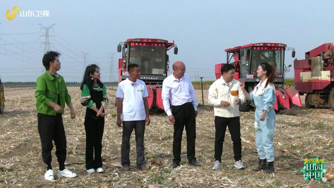 柳乡新貌，繁荣与发展交织的乡村新闻报道