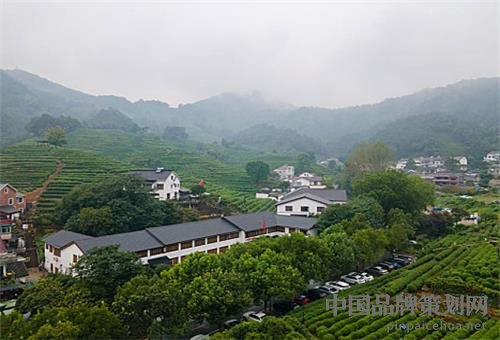 龙井村发展规划揭秘，走向繁荣与生态和谐的未来之路