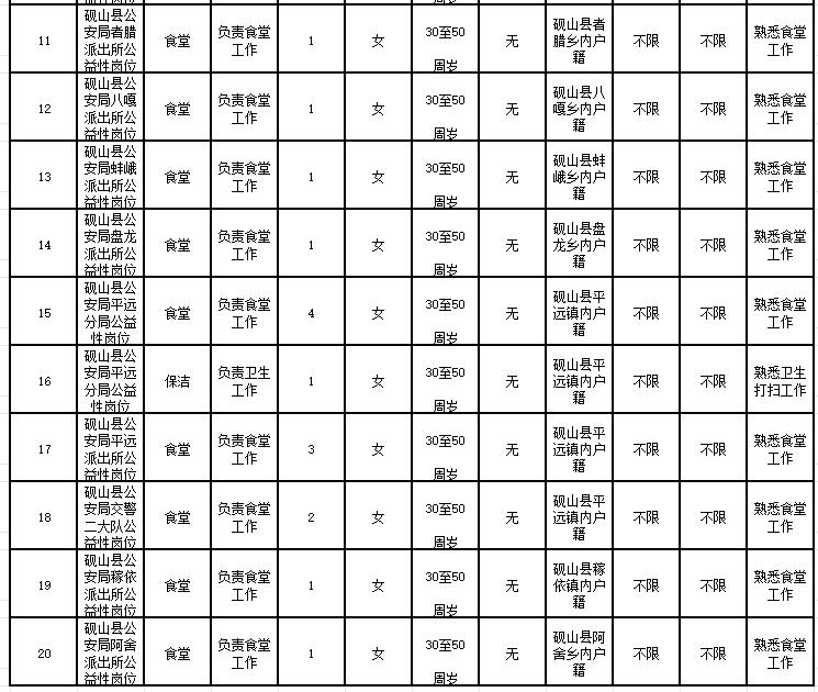 施甸县公安局招聘启事