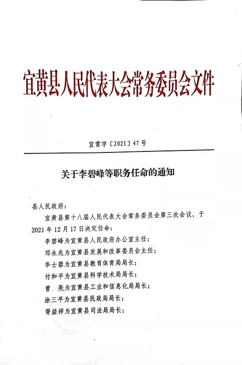 宜君县医疗保障局最新人事任命动态解析