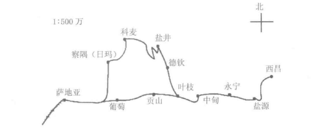 盐井村最新发展规划，走向繁荣与和谐共生的未来