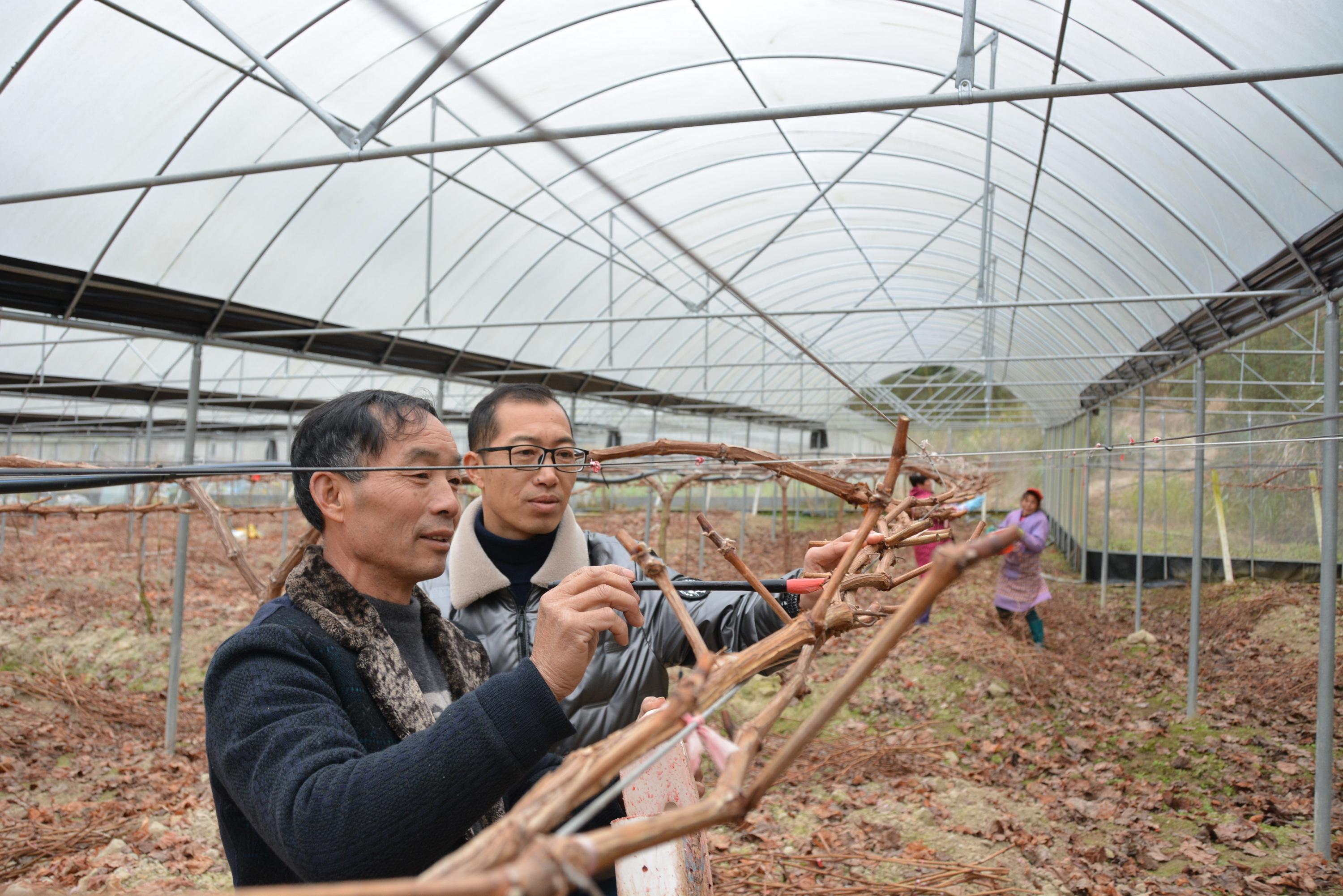 建阳市科技局最新领导团队及其前瞻领导