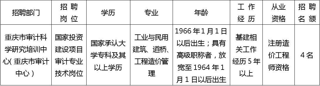 九龙坡区审计局最新招聘信息详解