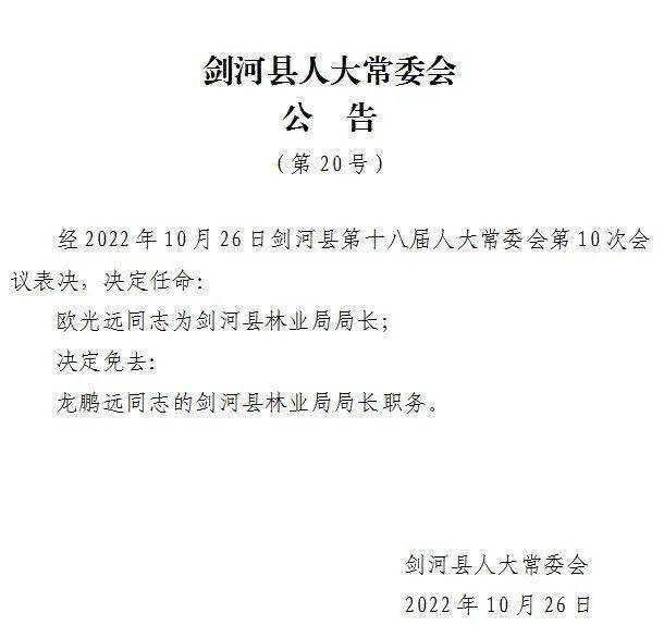 贾河乡人事任命揭晓，引领地方发展新篇章