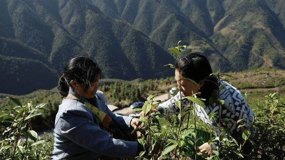 黄金瑶族乡交通建设日新月异，助力地方经济腾飞新动态