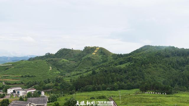 麻江乡最新发展规划，塑造未来乡村的新蓝图