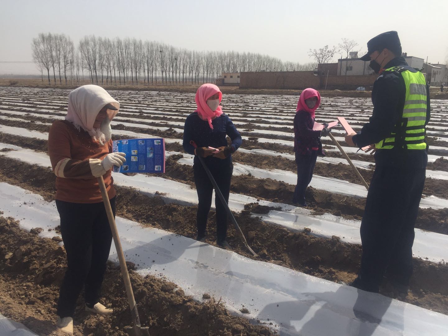 白土岗乡最新交通动态报道