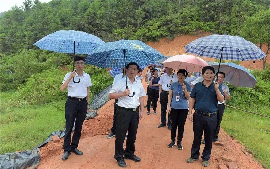 武东乡新项目，引领乡村发展的强大新动力