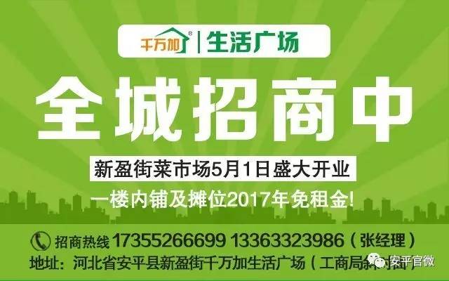 石鼓区人力资源和社会保障局招聘最新信息全面解析